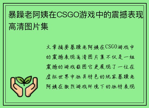 暴躁老阿姨在CSGO游戏中的震撼表现高清图片集